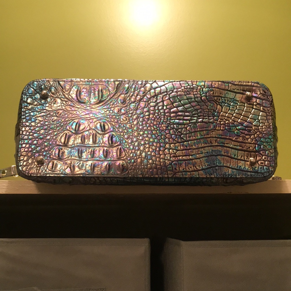 Mother of pearl Brahmin - Picture 3 of 8